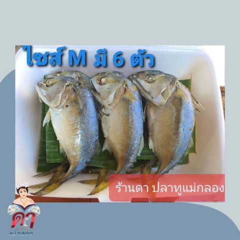 ปลาทูแม่กลอง สด สะอาด